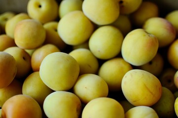 美味しそうな梅