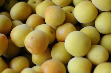 美味しそうな梅