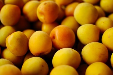 美味しそうな梅