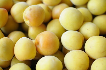 美味しそうな梅