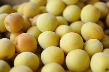 美味しそうな梅
