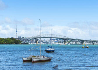 Panoramic View at Little Shoal Bay Beach Auckland, New Zealand; Harbour Bridge and Auckland City Landscape as the Background