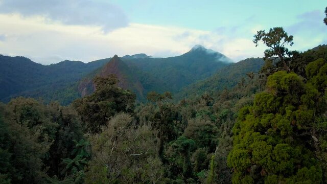 Mountains and native bush of the coromandel ranges, New Zealand