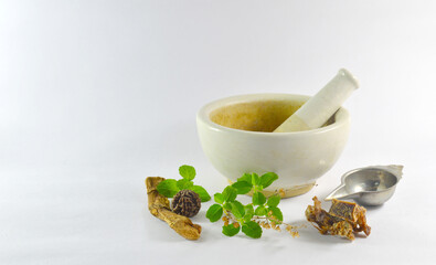white herb blender with aloe vera, gooseberry, and other herbs representing ayurvedic medicine in white background. 