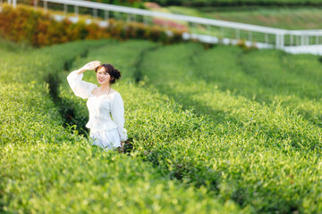 Beautuful Asian woman wear white dress walking in tea field.
