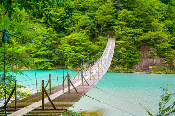 静岡県の夢の吊り橋