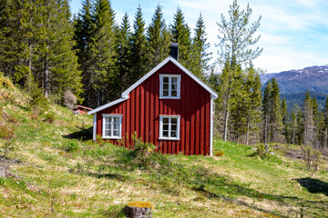 On a trip to abandoned small farms in the Velfjord forests, Northern Norway	