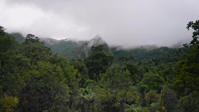 Hyperlapse: Misty mountains of the coromandel ranges, New Zealand