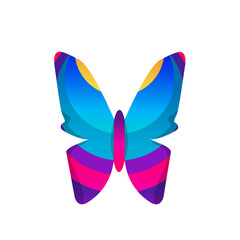 Colorful butterfly vector illustration isolated on white background
