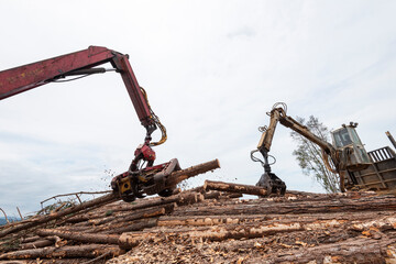 mechanical arm woodcutter picking up and cutting harvested log trunks and delivering it by steel cables and pulley
