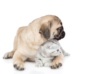 Obraz premium Friendly pug puppy hugs tiny scottish kitten. Pets look away together on empty space. Isolated on white background