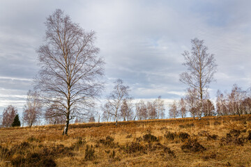 Eifel