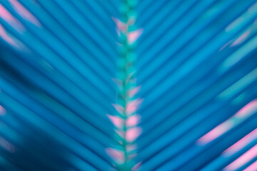 Abstract blue coconut leaf background for design.