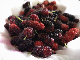 Black and Red color Mulberry fruit.