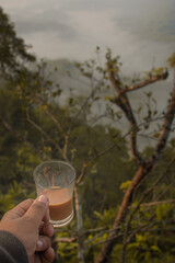 a glass of tea with nature