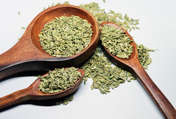 Green Fennel Foeniculum Vulgare isolated on a white background