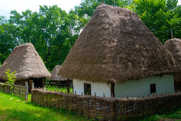 Fototapeta na wymiar clay house with thatched roof and wooden fence
