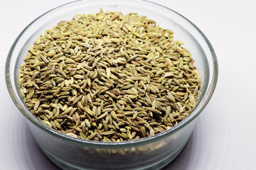 Green Fennel Foeniculum Vulgare isolated on a white background