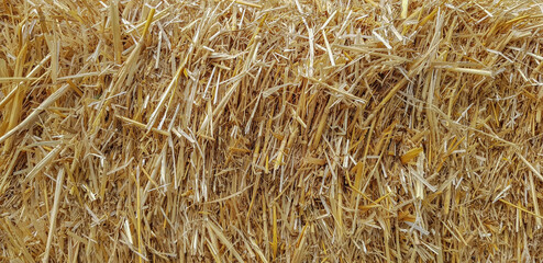 hay stack, dry grass pile