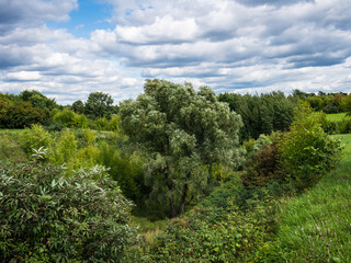 Obraz premium Summer evening landscape in the hilly area - summer day in nature, clouds and blue sky