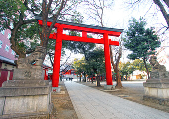 Fototapeta na wymiar Red or vermilion torii gates at the Hanazono Jinja shrine, Shinjuku, Tokyo, Japan.