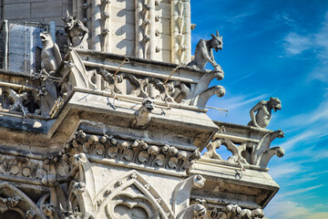Gárgolas en Notre Dame , Paris