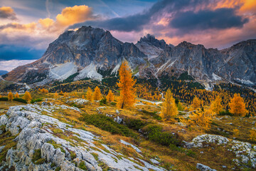 Colorful autumn mountain landscape with yellow larches in Dolomites, Italy