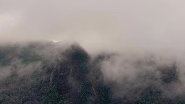 Misty mountains of the coromandel ranges, New Zealand