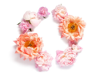 Flowers composition. Wreath made of peony flowers on white background. Flat lay, top view, copy space, isolated.