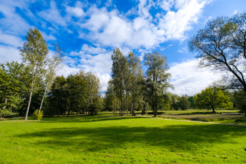Obraz na płótnie Canvas Meadow with trees in a sunny day in Gauja National Park in Latvia