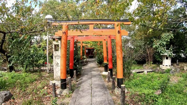 The red torii gates along a path to the small Inari-sha Shrine. Hirano Shrine. Kyoto. Japan