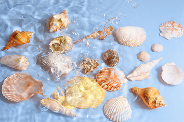 Group of shells and water on pastel background