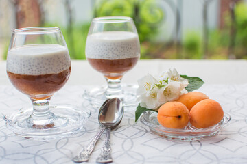 Chia Pudding. Healthy food made from chia seeds and vegetable milk with fresh fruit puree.