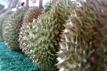 Naklejka na ściany i meble durian fruit on market shelves