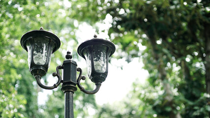 Western Style Vintage Street Lamp in Garden                               