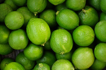 Lime from the organic garden, green nature background        