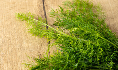 Green dill on a wooden table.