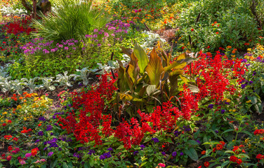 Obraz premium Blooming flower garden with variety of spring flowers and plats in South tyrol, Trentino Alto Adige,northern Italy