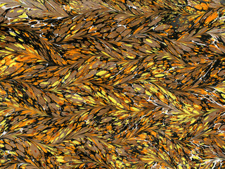 Ebru art marble design background. Abstract background. Colorful pattern for print on silk. Print for pillow, shawl, wrapping paper, box, textile. Hand draw traditional paper. Traditional Turkish art.