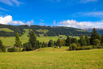 Fototapeta na wymiar Beautiful alpine meadows on a sunny summer day.