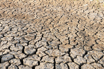 Ground crack because it does not rain and dry.