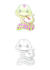 animal coloring snake