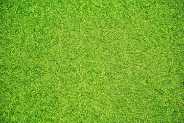 Close up of green grass textures from top angle.