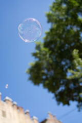 Soap bubbles with reflection in the air fly against the sky