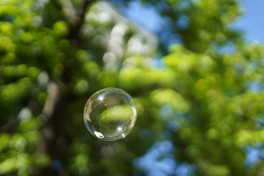 Colored iridescent soap bubble in the air with reflections. On blurred background