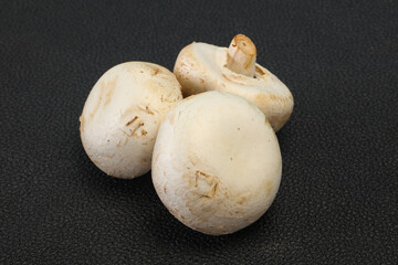 Raw Champignon heap for cooking