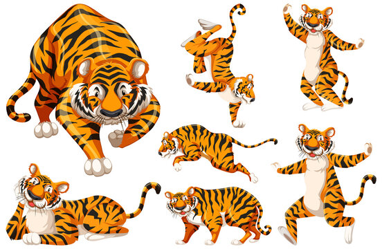 Set of tiger character