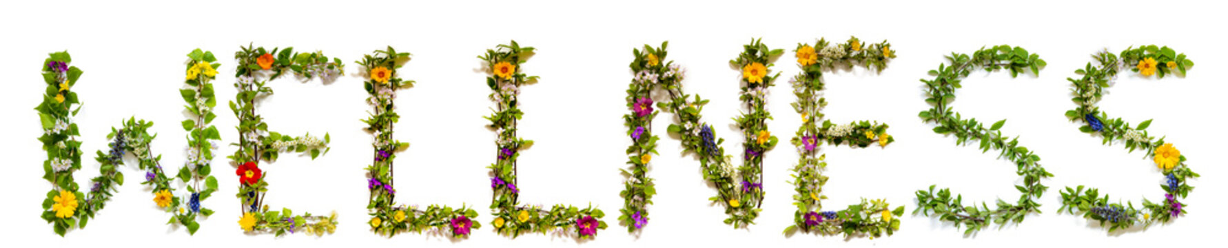 Flower, Branches And Blossom Letter Building English Word Wellness. White Isolated Background