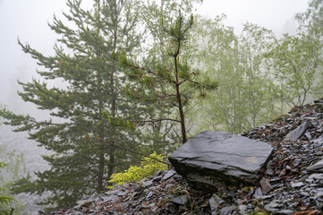 Steinbruch und Schieferpark Lehesten im Nebel