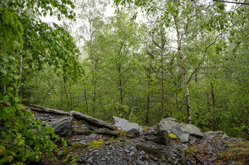 Steinbruch und Schieferpark Lehesten im Nebel